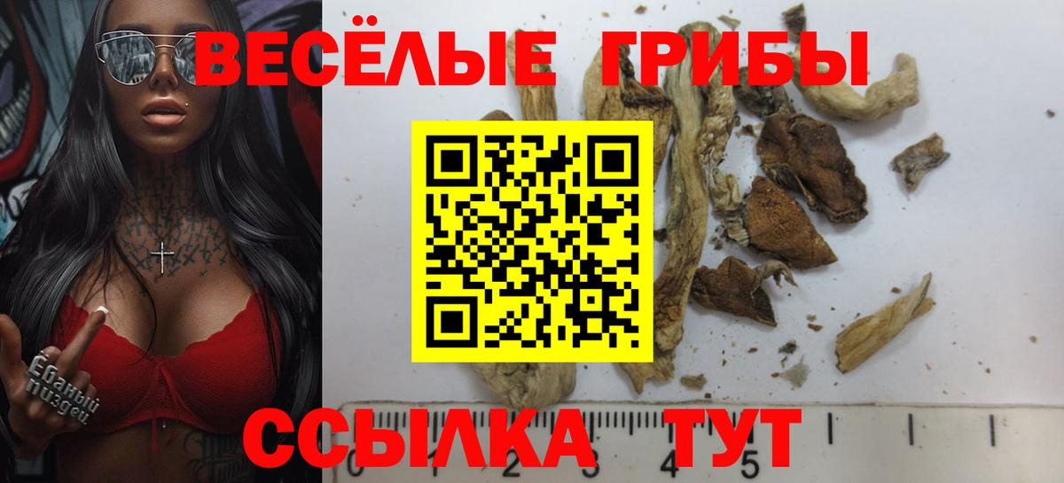 Псилоцибиновые грибы MAGIC MUSHROOMS  Вход с VPN  Кингисепп 